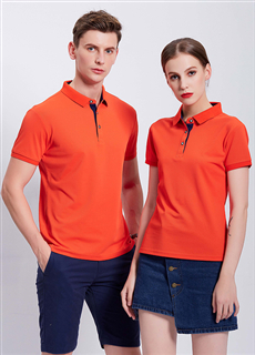 ����polo���������Ļ������V����XH9017